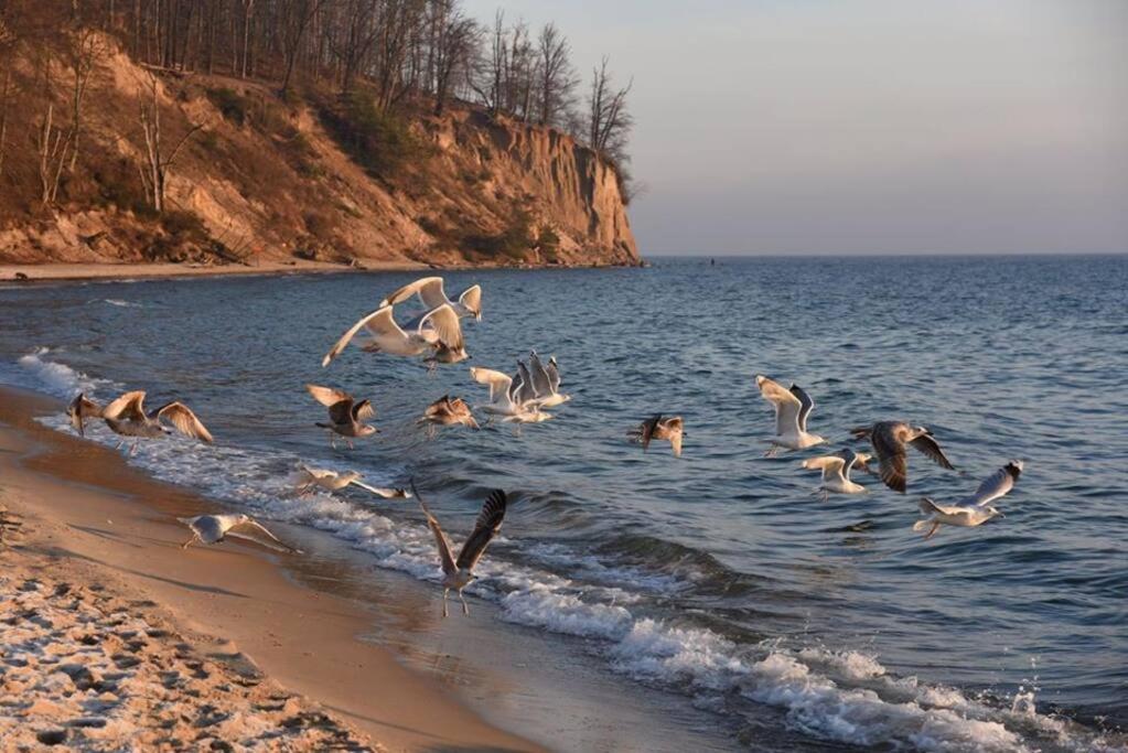 Chata Rybacka W Orlowie / Apartament Gdynia Esterno foto